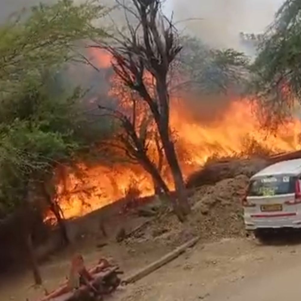 नूंह में छप्पर में लगी आग:एक भैंस की मौत, सैकड़ों क्विंटल भूसा राख, एर्टिगा कार जली