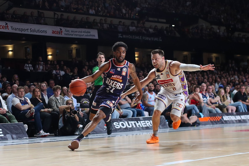 NBL getting global attention, Adelaide 36ers coach says ahead of Sydney Kings clash