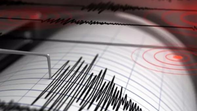 4.5 magnitude earthquake jolts China