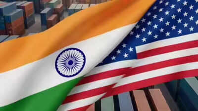‘Concerns should be addressed bilaterally’: No need for unilateral 301 probe, India to US