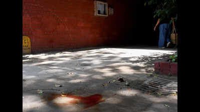 Alaknanda Double Murder: Row over loan settlement and reduced interest suspected by family behind attack | Delhi News