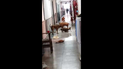 ‘Insects in food’: Protest at Lady Hardinge | Delhi News