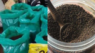 Tea Purity Test: Tea Purity Test: 3000 kg adulterated tea, 1500 kg expired tea seized: FSSAI’s 4 simple tests to check tea purity at home |
