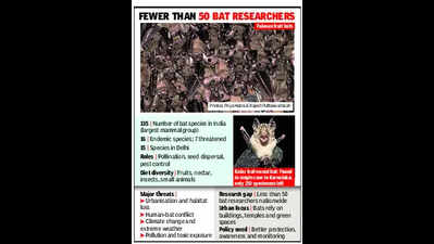 India blind as bat to winged creatures’ existential threat | Delhi News