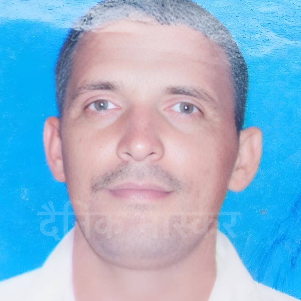 हांसी में मधुमक्खी के हमले से किसान की मौत:चारा लेने खेत गया था, बचाने आया पड़ोसी भी घायल, परिजनों ने मांगी सहायता