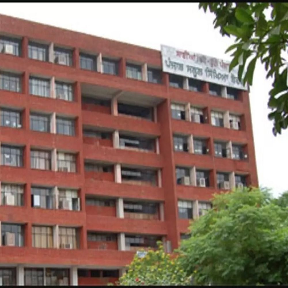 PSEB Fake Certificate Job Scam