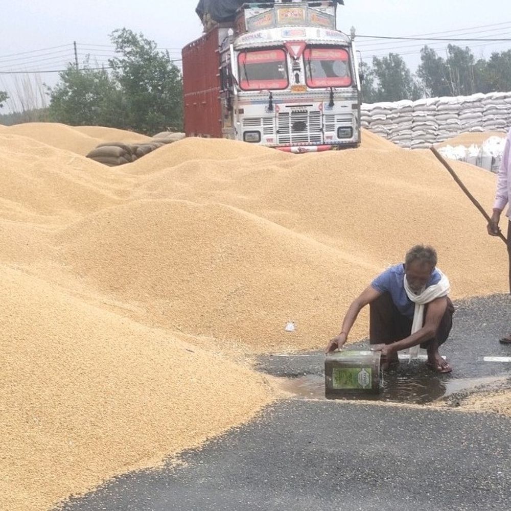 इसराना की अनाज मंडी में 20 मिनट की बारिश:आढ़तियों और अधिकारियों के इंतजाम हुए फेल, जगह-जगह भरा पानी