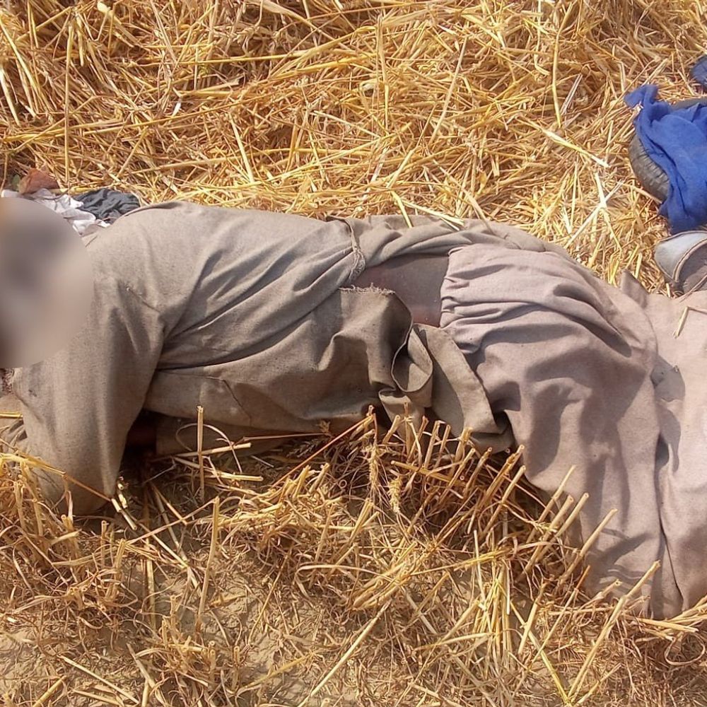 बठिंडा में गेहूं के खेत में मिला व्यक्ति का शव:दो दिन पुराना, कीडे़ लगे, पहचान के लिए पुलिस ने जारी किए इश्तहार