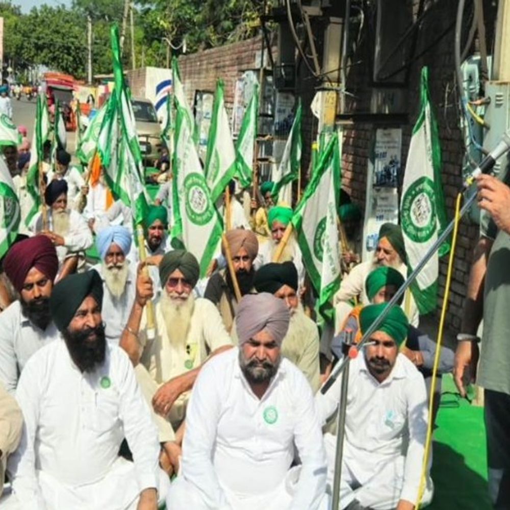 संगरूर में DFSC ऑफिस पर किसानों का धरना:गेहूं खरीद नहीं होने पर सरकार को चेताया, सुविधाओं की कमी पर उठाए सवाल