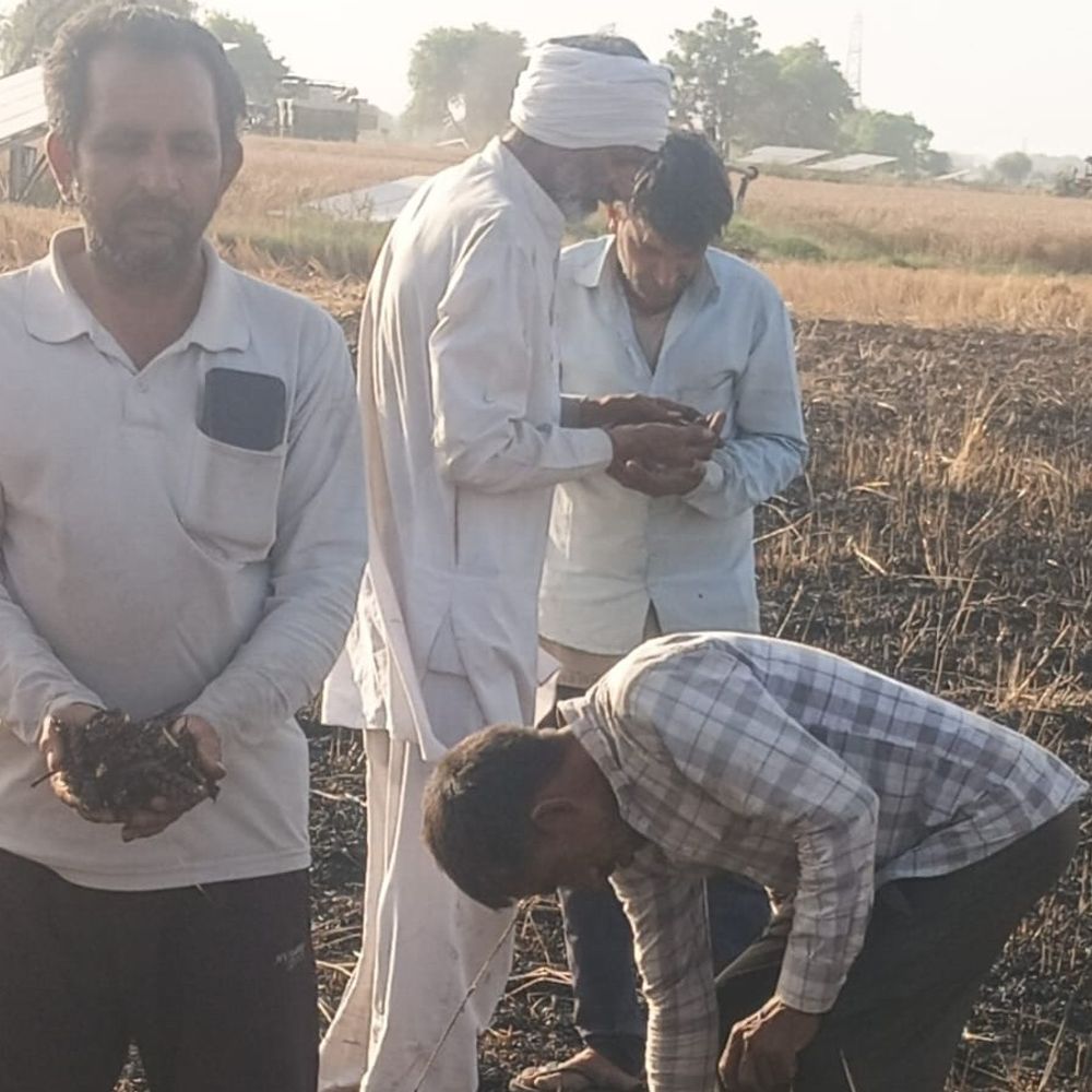 उकलाना में 2.5 एकड़ गेहूं की फसल जलकर राख:किसान संगठनों ने किया दौरा; बोले-जल्द मुआवजा दिया जाए, आंदोलन की चेतावनी