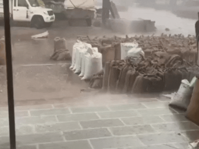 बारिश की वजह से मेड़ता मंडी में भीगी उपज:व्यापारियों और किसानों को करोड़ों का नुकसान, डीडवाना में खेतों में ख़डी फसल बर्बाद