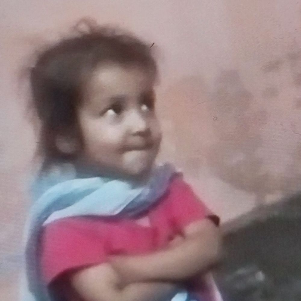 लुधियाना में बस ने ई-रिक्शा को मारी टक्कर:ढाई साल की बच्ची की मौत; परिवार के अन्य सदस्य घायल; आरोपी ड्राइवर गिरफ्तार