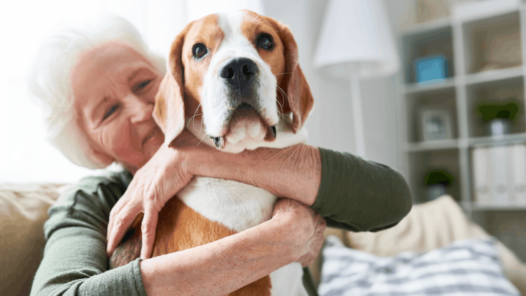 Positively Uplifting Stories | April 6 2026