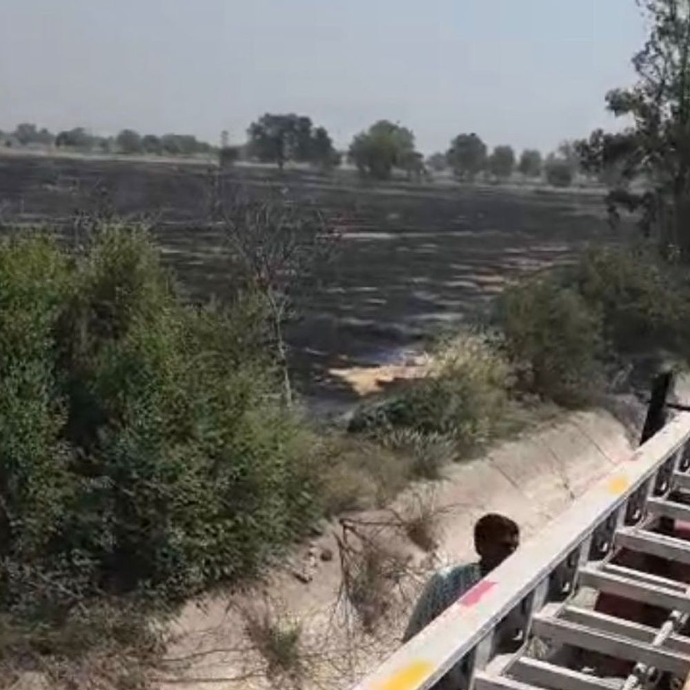 हांसी में 10 एकड़ गेहूं के फाने जले:रजवाहे की तरफ से फैली आग, किसान ने ट्रैक्टर चलाकर फसल बचाई; मुआवजे की मांग