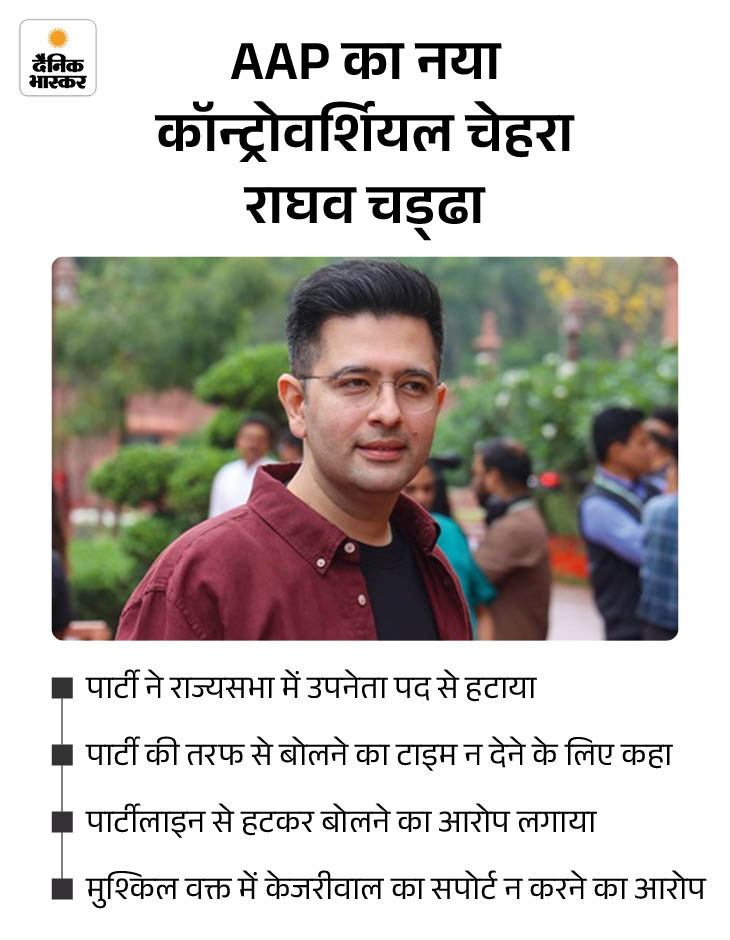 AAP Punjab Leaders Exit | Raghav Chadha Controversy & 15 Exits