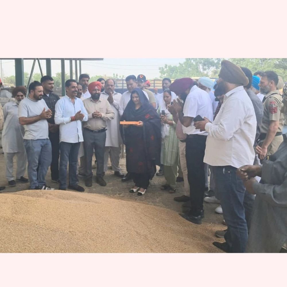 जालंधर में MLA बीबी मान ने मंडी का किया दौरा:किसानों, मजदूरों और आढ़तियों से मिलकर सुनीं समस्याएं, निस्तारण का दिया आश्वासन
