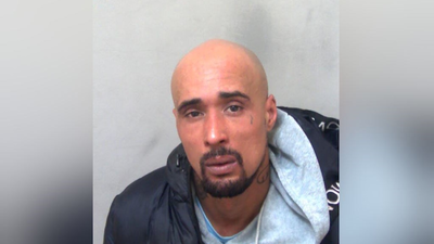 Mauled to death by XL bully dogs: UK rapper jailed for mother-in-law’s fatal death in canine attack | World News