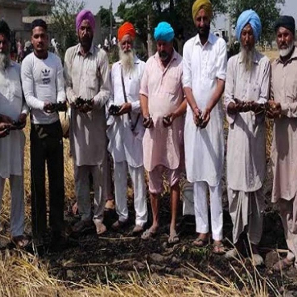 बरनाला में 3 एकड़ गेहूं की फसल जली:बिजली की तार से चिंगारी निकलने से हादसा, किसान ने मांगी प्रशासन से आर्थिक मदद