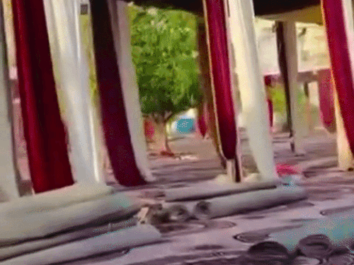 बहादुरगढ़ MLA के बेटे सचिन की सगाई आज:1.5 लाख को इनविटेशन, 14 विशाल पंडालों में अरेंजमेंट, 900 वेटर-बाउंसर संभालेंगे व्यवस्था; CM सैनी भी पहुंचेंगे