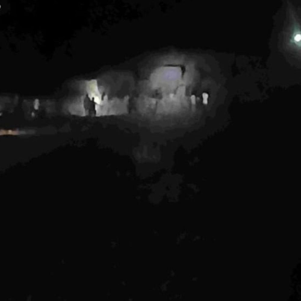 अनूपपुर में दो सीमाओं से चार हाथियों का प्रवेश:डिंडोरी से लौटे तीन, मरवाही से एक हाथी जंगल में ठहरे