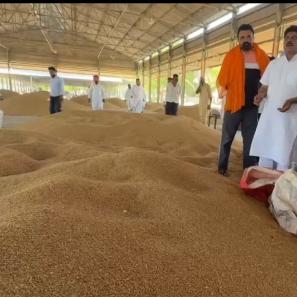 मानसा अनाज मंडी में नहीं शुरू हुई गेहूं की खरीद:अकाली नेताओं ने पंजाब सरकार पर साधा निशाना; किसानों की सुनीं समस्याएं