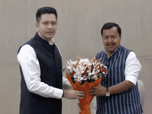 20 MPs, MLAs Exit; 1 Remains Raghav Chadha Controversy