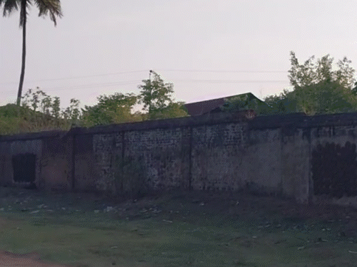 जामताड़ा में धान खरीद योजना में बड़ा खेल:राइस मिल ने नहीं चुकाए ₹1.37 करोड़, अनियमितता की जांच शुरू