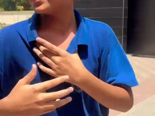 मोहाली के स्कूल में मधुमक्खियों का हमला:ग्राउंड में खेल रहे 40 बच्चों को डंक मारे; पेरेंट्स का हंगामा, बोले- मैनेजमेंट ने जानकारी छिपाई