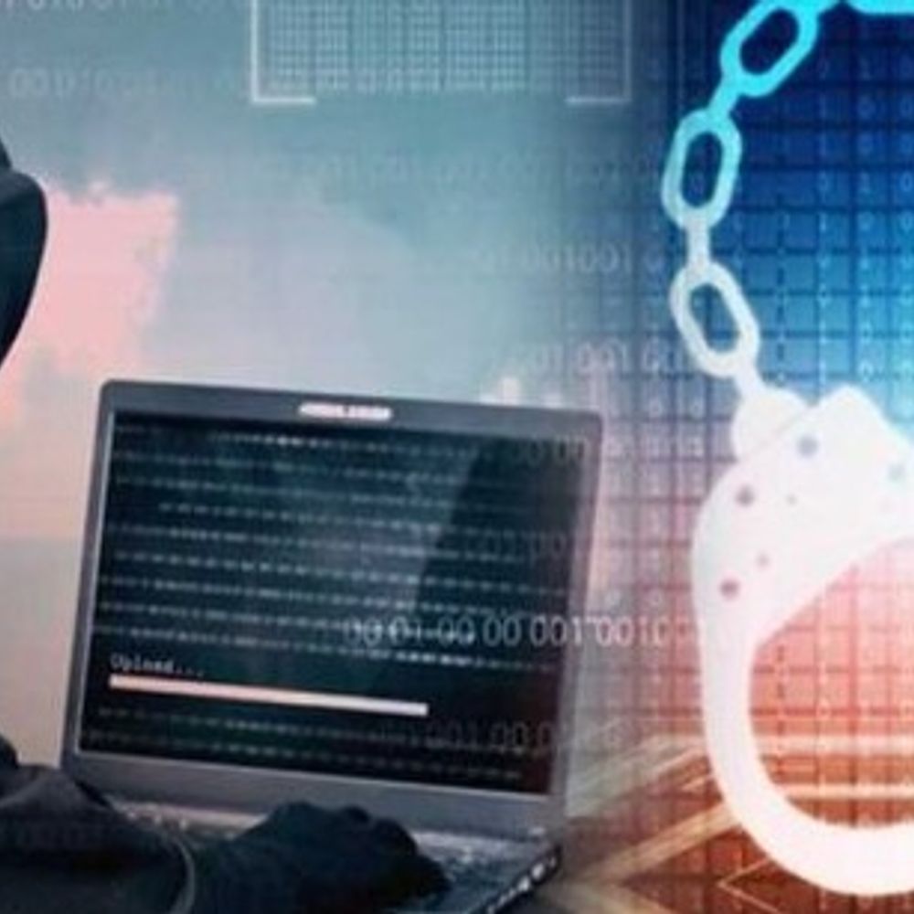 चंडीगढ़ PGI के डॉक्टर से 1.10 करोड़ की साइबर ठगी:वाट्सएप ग्रुप के जरिए बनाया निशाना, निवेश में फायदे का झांसा देकर लिए रुपये