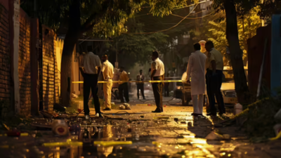 Delhi man murders wife after late-night tiff, surrenders before police | Delhi News