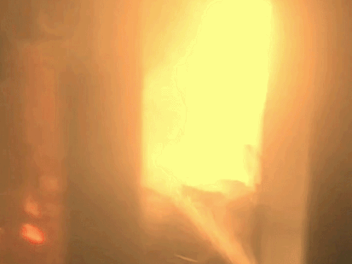 मोहाली के फ्लैट में लगी आग:एसी से निकली चिंगारी, पालतू कुत्ते की मौत, ढाई लाख कैश और सोने के जेवर जले