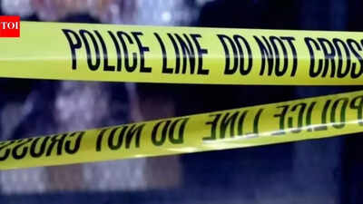 Delivery executive dies after motorcycle hit by car in Delhi | Delhi News