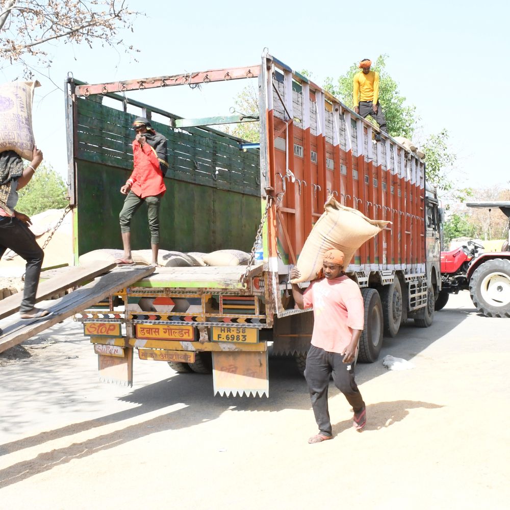 झज्जर में हुई 1.40 लाख मीट्रिक टन गेहूं की खरीद:2 लाख 22 हजार 954 मीट्रिक की आवक, डीसी ने एजेंसियों को दिए उठान के निर्देश