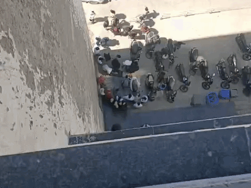 मोहाली में 5वीं मंजिल से कूदकर युवती ने सुसाइड किया:स्कूटी पर आई; बैग से आधार कार्ड और लंच बॉक्स मिला, अंबाला की रहने वाली