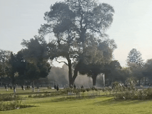 पंजाब में आज से बदलेगा मौसम:कुछ स्थानों पर बारिश की संभावना, हवाएं चलेंगी; तापमान 38.3 डिग्री के पार