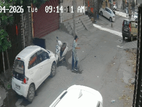 फरीदाबाद में बंदरों ने महिला को बनाया 'लट्टू' VIDEO:एनआईटी 2बी ब्लॉक में घटना, कपड़ों से लटक गया , निगम बोला- जल्द खुलेगा टेंडर