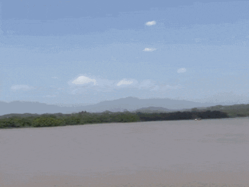 पंजाब-चंडीगढ़ में 4 दिन हीटवेव का यलो अलर्ट:21 जिलों में तापमान 35 डिग्री से अधिक, बारिश की संभावना नहीं; रातें भी गर्म रहेंगी