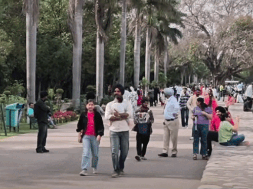 पंजाब और चंडीगढ़ में गर्मी का सितम:2 जिलों का तापमान 44.3 डिग्री पहुंचा, आज हीट वेव का यलो अलर्ट; कल से बारिश के आसार