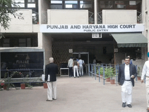 बड़ी उम्र के व्यक्ति से शादी चाहते हैं घर वाले:बॉयफ्रेंड बालिग, शादी योग्य उम्र नहीं, अदालत के पटियाला पुलिस को दिए कस्टडी के आदेश