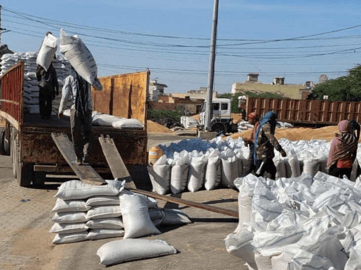 तोशाम मंडी में SDM ने किया निरीक्षण:अधिकारियों को उठान कार्य में तेजी लाने के निर्देश; बोले-ऑनलाइन प्लेटफॉर्म भी अपडेट करें