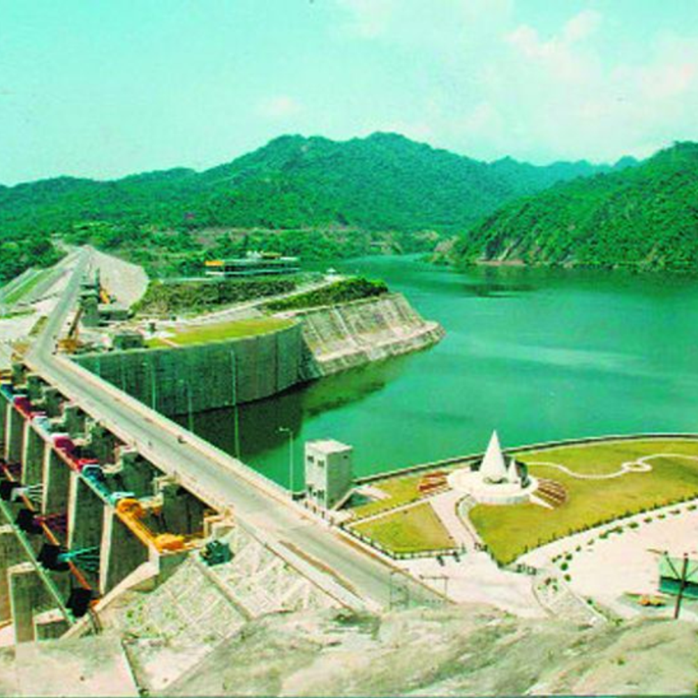 पठानकोट की आरएसडी झील में मछली पकड़ने की ऑनलाइन बोली:30 को खुलेंगीं बिड्स, आठ बार हो चुकी स्थगित, रिजर्व प्राइज में 18 लाख किए कम, शर्तें भी नर्म