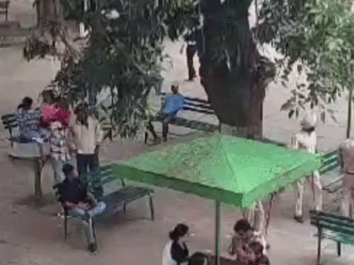 चंडीगढ़ PU कैंपस में बिछेगी अंडरग्राउंड ऑप्टिकल फाइबर:अब नहीं आएगी वाई-फाई की समस्या, 1.5 करोड़ का प्रोजेक्ट, 3-4 महीने में पूरा होगा प्रोजेक्ट