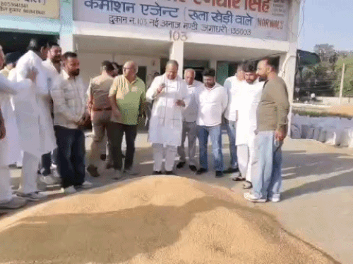 यमुनानगर मंडियों की व्यवस्था पर भड़के सांसद वरुण:किसानों की परेशानी को लेकर सरकार पर साधा निशाना, महिला आरक्षण तुरंत लागू करने की मांग