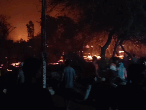 झज्जर में खेतों में लगी आग:रिहायशी इलाके तक पहुंची; पशु घरों से बाहर निकाले, फायर ब्रिगेड ने बुझाई