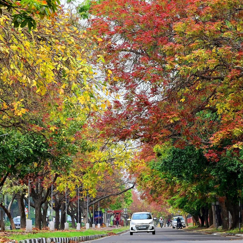 पंजाब-चंडीगढ़ में आज और कल बारिश व ओलावृष्टि का अलर्ट:50 किमी/घंटा की रफ्तार से चलेंगी हवाएं, तापमान सामान्य से नीचे