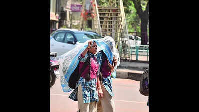 Govt authorises collectors to declare school holidays amid heatwave | Jaipur News