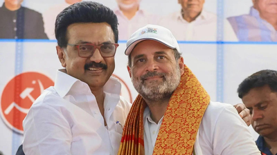 Tamil Nadu Election: The optics deficit: Will missing Stalin-Rahul ‘brotherhood’ hurt alliance in Tamil Nadu? | India News
