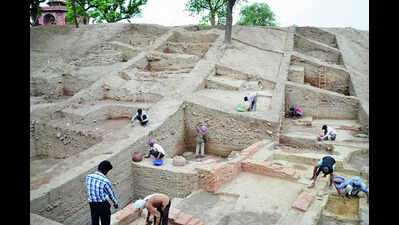 Uncovering history through curated routes: Purana Qila set for revamp | Delhi News