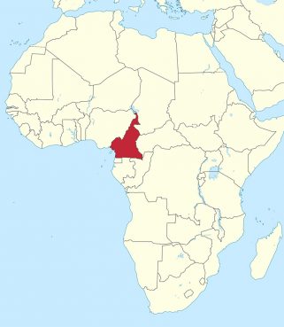 Pope Leo’s Cameroon visit rekindles fragile hopes for peace in a nation scarred by conflict