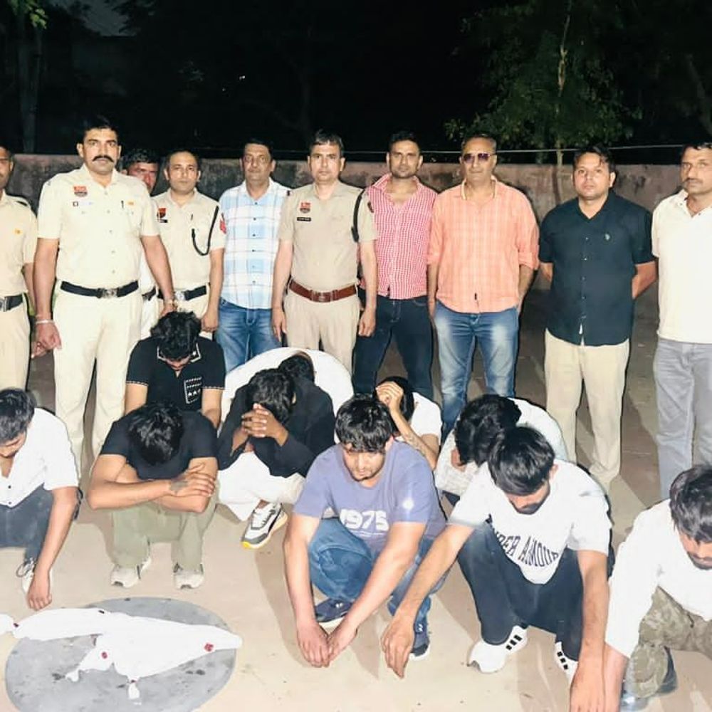 हिसार में कार्तिक गैंग पर पुलिस की दबिश:पटेल नगर में हुड़दंग मचाते 10 आरोपी काबू, हथियार और जिंदा कारतूस बरामद